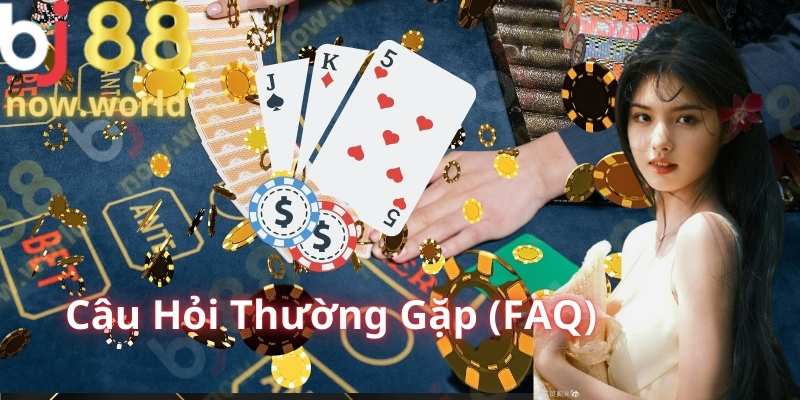 Câu Hỏi Thường Gặp (FAQ)